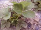 P12-04-13_19.31[1]