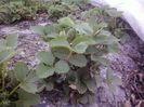 P12-04-13_19.31[2]