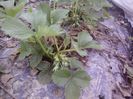 P12-04-13_19.31[3]
