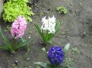 DSCN5188