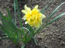 DSCN5202