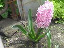 DSCN5204