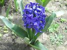 DSCN5205