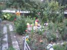 Fotografii-0147
