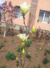 20130414_142432