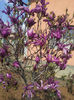 20130414_142443