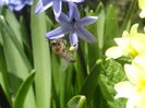 DSC05967