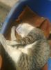 relaxare totala