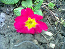 Fotogr.0720