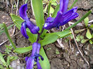Fotogr.0733