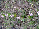 Fotogr.0735