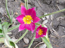 DSCN3861