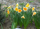 DSCN3872