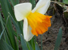 DSCN3875