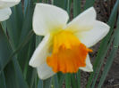 DSCN3876