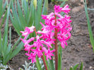 DSCN3878