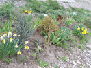 DSCN3892