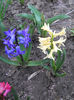 DSCN3905