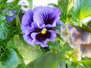 DSCN3914