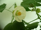P1420791