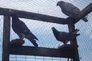 SAM_9043