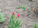 DSCN8020_3491