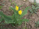 DSCN8021_3492