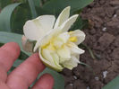 DSCN8022_3493