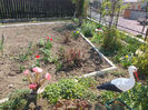 DSCN8037_3508