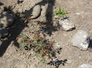 DSCN8039_3510