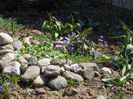 DSCN8049_3520