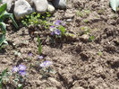 DSCN8053_3524