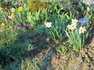 DSCN3957