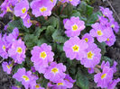 DSCN3976