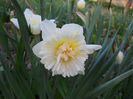 DSCN3988