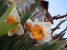 DSCN3994