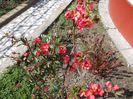 DSCN0267