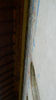 DSCN3168