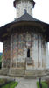 DSCN3177