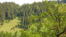 DSCN3190