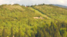 DSCN3200