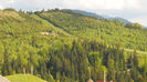 DSCN3202