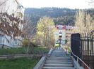 DSCF0770