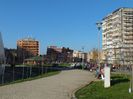 DSCF0808
