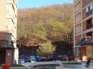 DSCF0816