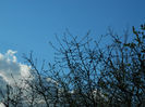 DSCN6766