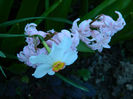 DSCN6793