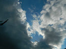 DSCN6797