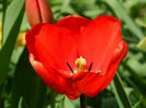 DSCN6820