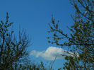 DSCN6821